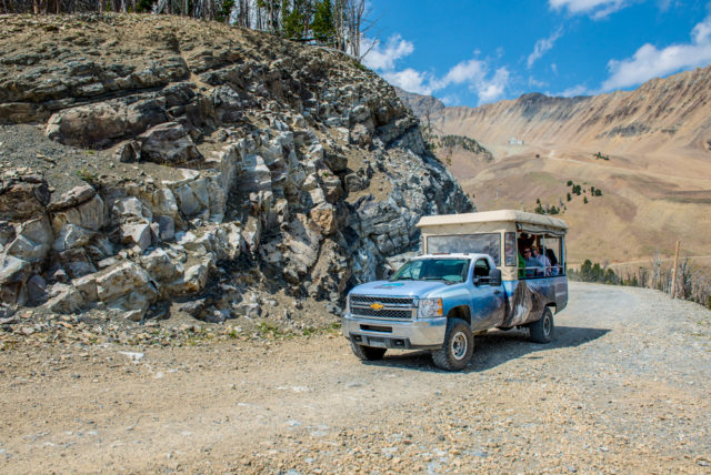 Safari vehicles journey up Lone Mountain.
