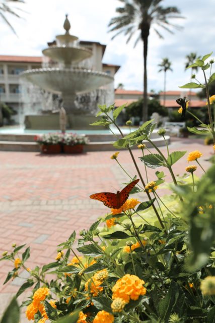 With its temperate climate, Ponte Vedra serves as a year-round destination.