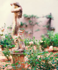 statue in the marietta georgia garden