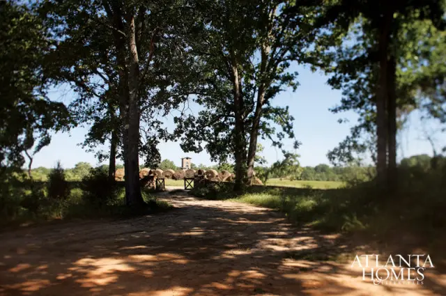 Dirt path leading through trees towards a field with hay bales and a tower in the distance.