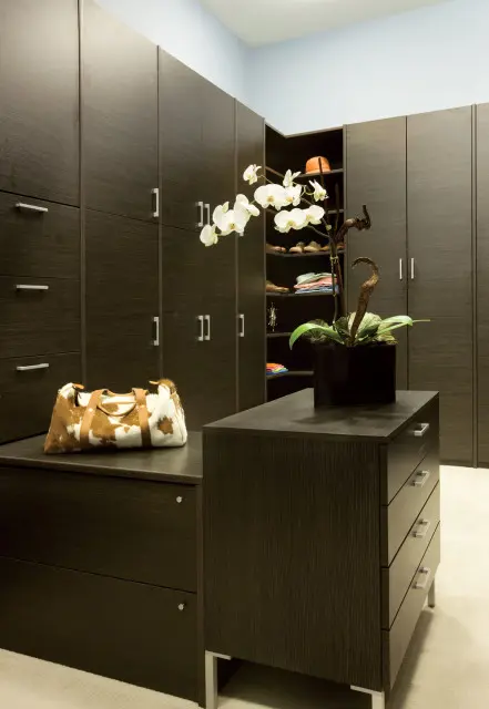 Dark wood walk-in closet with floor-to-ceiling cabinetry, a cowhide duffel bag, and a white orchid plant on a dresser.