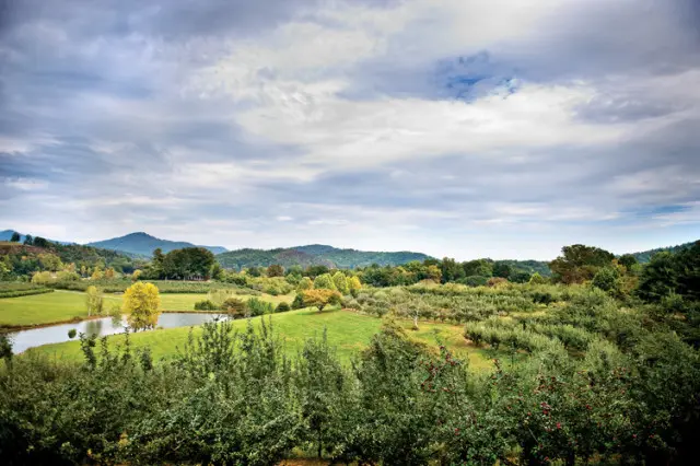 Rolling hills with an apple orchard and a pond under a cloudy sky. Trees show autumn colors.