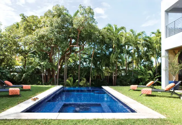 Rectangular swimming pool with integrated spa surrounded by lush green grass, palm trees, and lounge chairs. A modern white building is visible on the right.