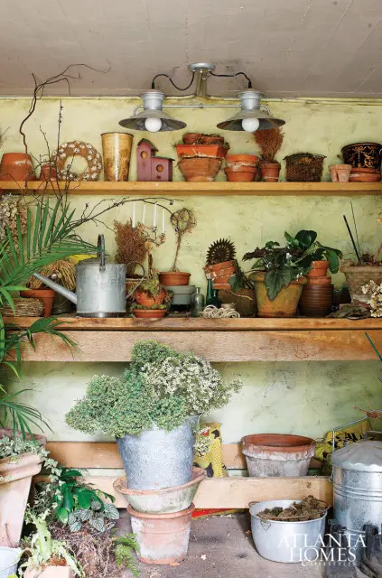 Shelves filled with terracotta pots, plants, watering can, and gardening tools against a textured green wall.