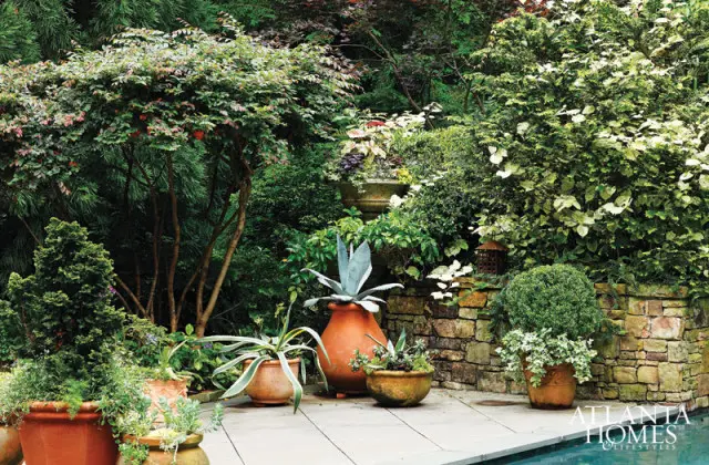 Stone retaining wall with potted plants including agave and boxwood, surrounded by lush greenery and trees.