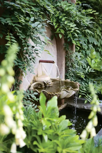 Stone fountain with water flowing into a basin surrounded by lush green foliage and ivy climbing a textured wall.