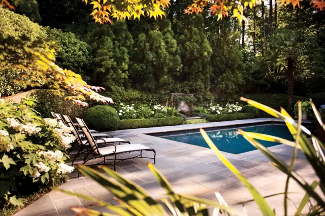 Rectangular swimming pool with blue water surrounded by a stone patio and lush green landscaping, featuring lounge chairs and flowering bushes.