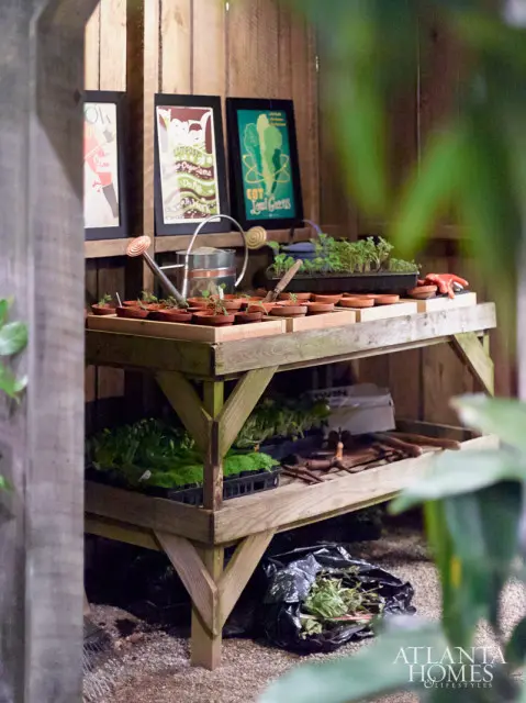 Wooden potting bench with seedlings in terracotta pots, gardening tools, and framed botanical prints on a wood-paneled wall.