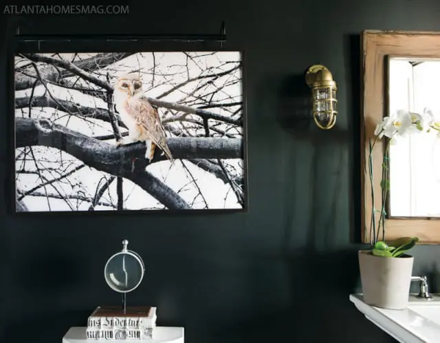 Dark green walls with framed artwork of an owl on a branch, a brass light fixture, and a wooden mirror above a sink with an orchid.