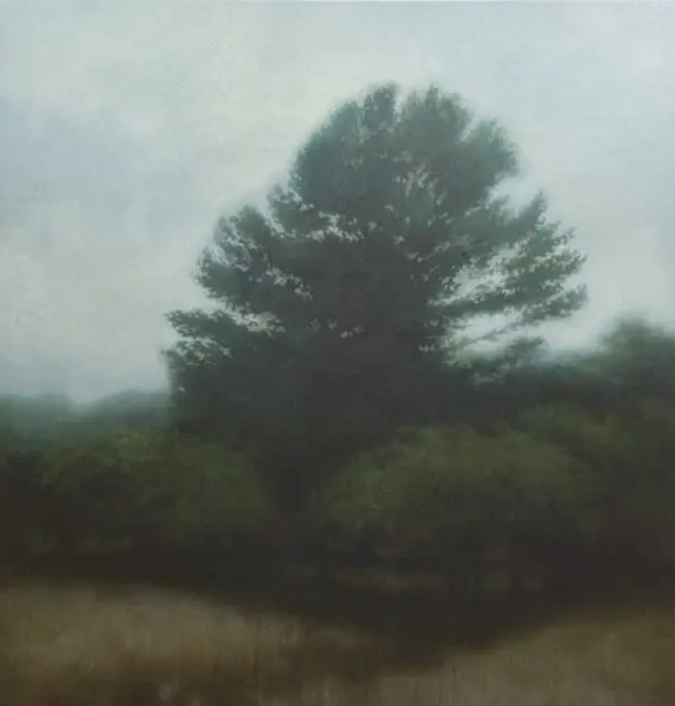 A dark, silhouetted pine tree stands against a hazy, overcast sky, with a dense forest and dry grass in the foreground.
