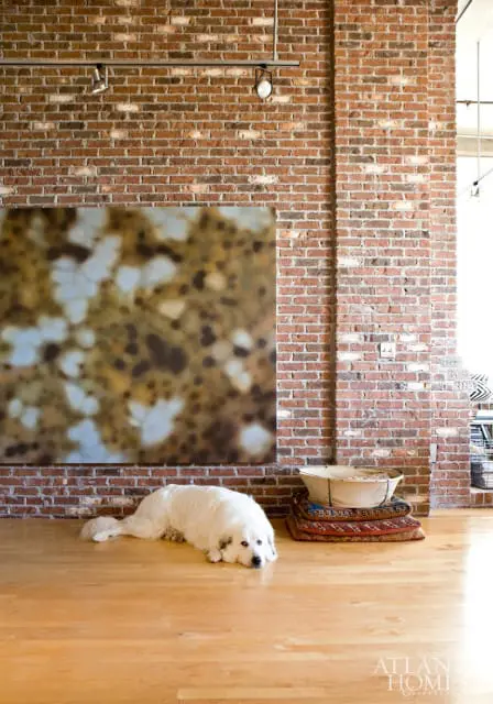 Loft living space with exposed brick walls, a large abstract painting, a white dog resting on a light wood floor, and a decorative basket on stacked cushions.