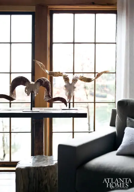Two ram skulls with large horns displayed on a dark metal table in front of a grid window. A grey sofa is visible in the foreground.