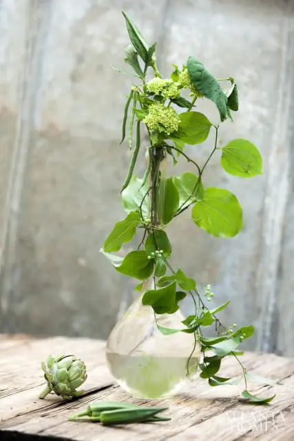 Glass vase with green foliage, okra pods, and an artichoke on a wooden surface with a textured gray background.