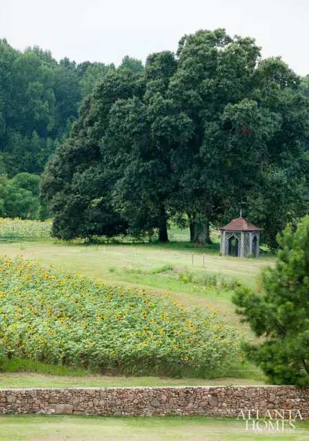 Field of sunflowers with a rustic wooden gazebo nestled under a large oak tree, bordered by a stone wall.