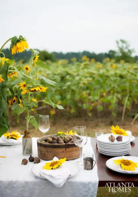 Outdoor table setting with sunflowers, figs, and wine glasses in front of a sunflower field.