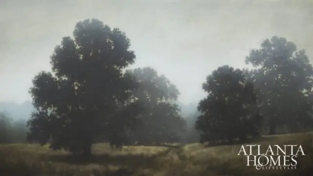Painting of large, dark trees in a misty landscape with tall, dry grass in the foreground. The Atlanta Homes & Lifestyles logo is in the lower right corner.