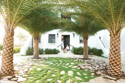 White stucco house with dark trim windows and a dark door, framed by palm trees and a stone pathway with grass inlays.