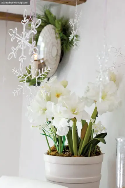 White amaryllis and daffodils in a white planter, with glittery snowflake ornaments hanging nearby and a round mirror with pine garland in the background.