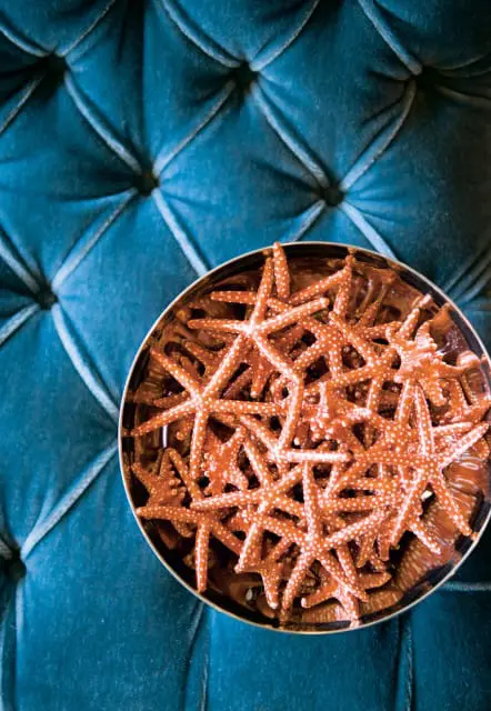 Close-up of a bowl filled with small orange starfish with white speckles, resting on a tufted teal velvet surface.