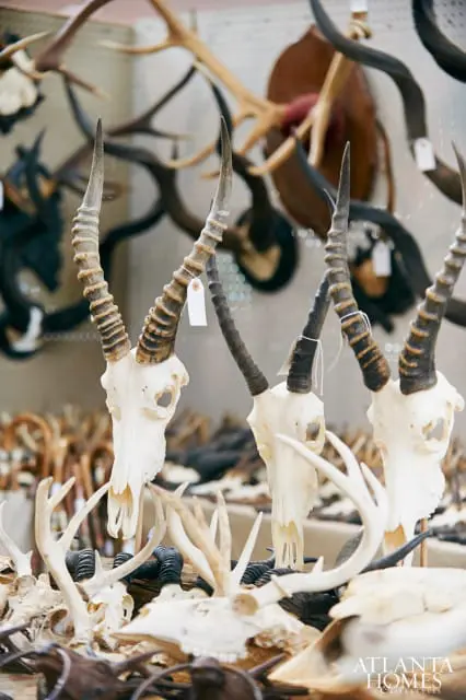 Collection of animal skulls and horns, including several with ridged, spiraling horns, displayed at a market.