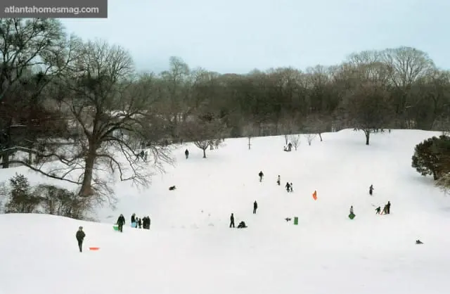 People sledding down a snow-covered hill with bare trees and a forest in the background under a pale sky.