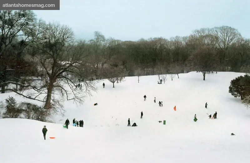 People sledding down a snow-covered hill with bare trees and a forest in the background under a pale sky.