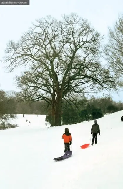 Bare tree branches against a pale sky with two children and sleds on a snowy hill in the foreground.