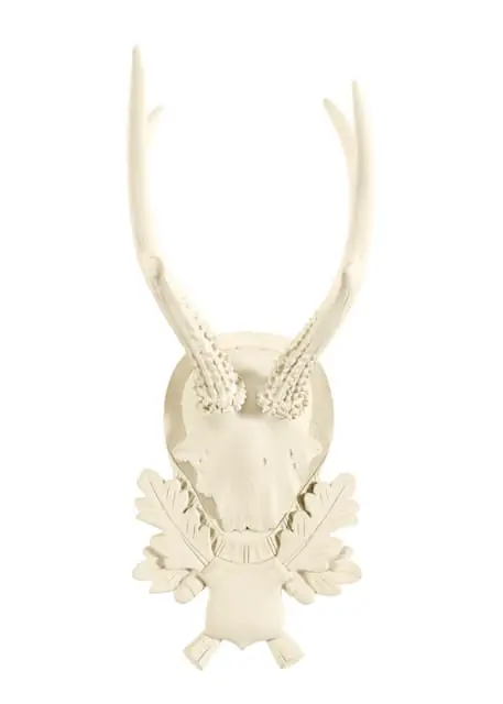 Cream-colored mounted deer skull with antlers and carved oak leaves on a circular plaque