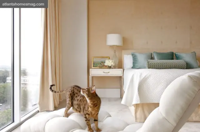 Bedroom with beige velvet headboard, white quilted bedspread, teal accent pillows, and a spotted cat standing on a white ottoman.