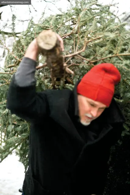 Man wearing a red beanie and black coat carries a large evergreen tree.