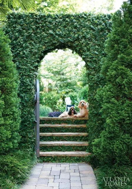 Stone steps covered in ivy lead through a lush green archway where two cocker spaniels rest, flanked by cypress trees and a paved walkway.