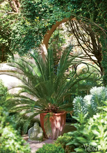 Potted sago palm with a stone statue in a lush garden with an arched entryway and wrought iron gate