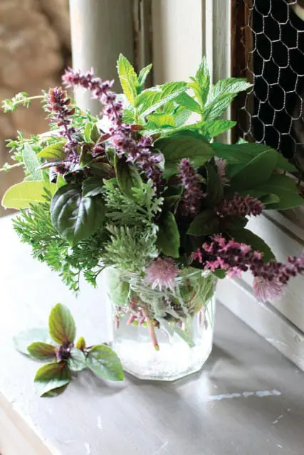 Close-up of a bouquet of fresh herbs including mint, basil, and sage in a glass jar, with a single basil leaf resting on a wooden surface.