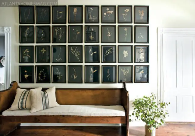 Wall of framed botanical prints above a wooden bench with striped pillows and a potted plant