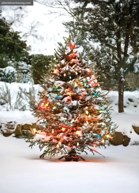 A snow-covered Christmas tree with colorful lights stands in a snowy yard with evergreen trees and stone landscaping in the background.