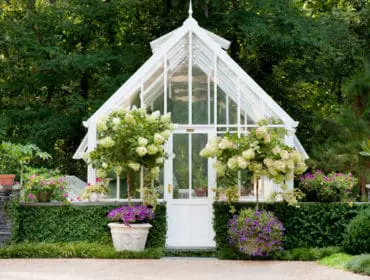White Victorian-style greenhouse with glass panes and double doors, surrounded by lush green hedges, flowering shrubs, and trees.