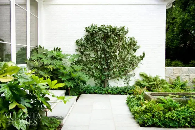 Stone pathway leading past lush green foliage and a small water feature against a white brick wall. A small tree with green leaves is planted near the wall.