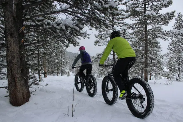 Two people on fat-tire bikes ride down a snow-covered trail through a pine forest.