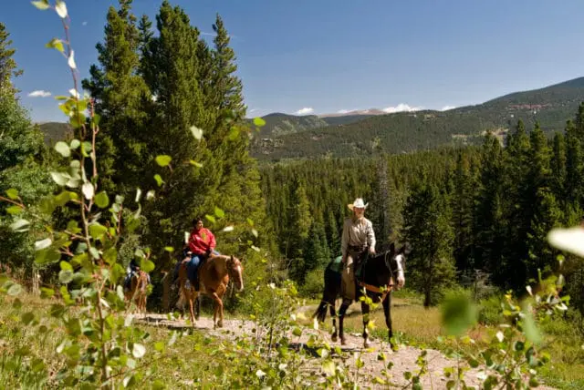 Two people horseback riding on a dirt path through a pine forest with mountains in the background under a clear blue sky.