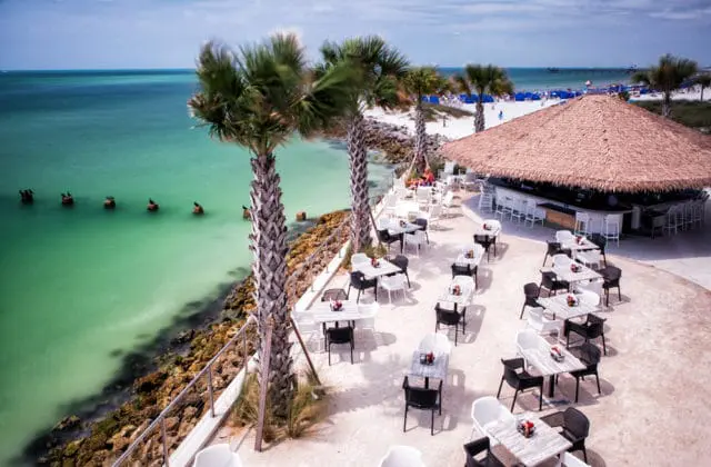 Aerial view of a beachside resort bar with thatched roof, outdoor seating, palm trees, and turquoise ocean water.