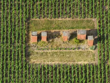 Aerial view of a vineyard with rows of green grapevines surrounding a small clearing containing brick structures with stone caps.