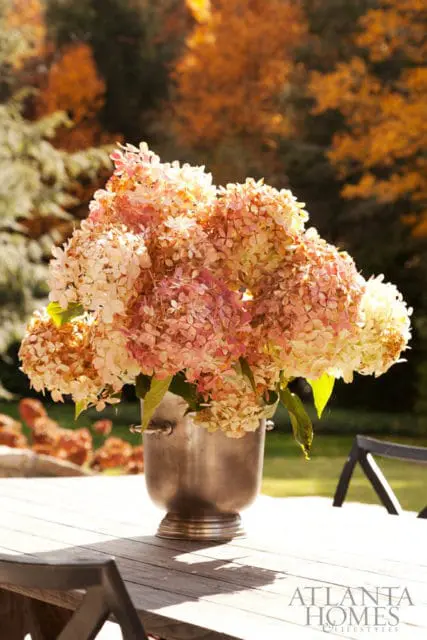 A bouquet of pink and white hydrangeas in a silver bucket sits on a wooden table, with autumn foliage in the background.