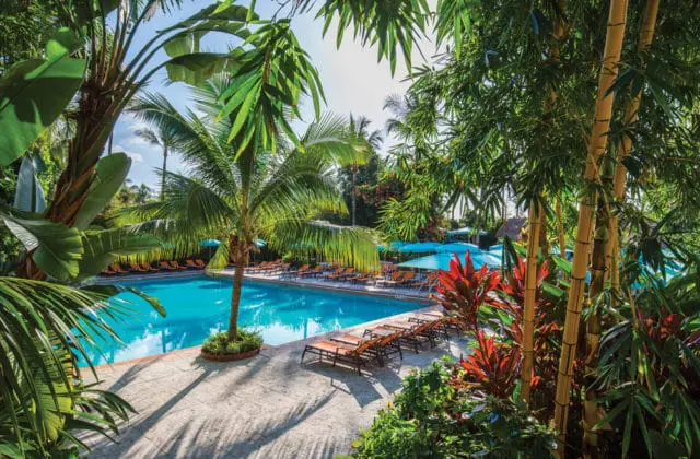 Resort pool surrounded by lush tropical foliage, palm trees, bamboo, and red-leafed plants. Lounge chairs and blue umbrellas line the pool deck.