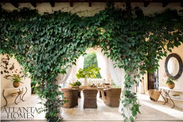 Covered patio with a dining table and chairs, draped in lush green vines, with sheer white curtains and decorative mirrors.