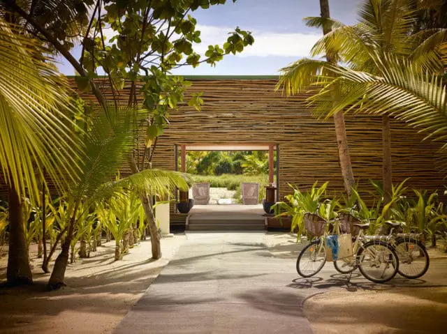 Wooden walkway lined with palm trees and bicycles, leading to a spa entrance.