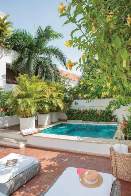 Terracotta tiled patio with lounge chairs, a small turquoise pool, potted palm trees, and lush yellow and red flowering plants under a bright blue sky.