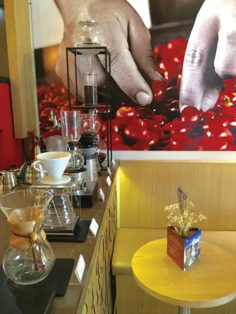 Coffee brewing station with siphon, pour-over, and Chemex brewers on a counter, with a large mural of hands picking cherries in the background. A yellow table with a dried flower arrangement sits nearby.
