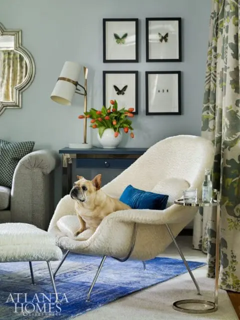 Light blue living room with a cream boucle chair featuring a French bulldog, a blue accent pillow, and a side table with a drink. Four framed butterfly prints hang on the wall above a navy console table with a vase of tulips.