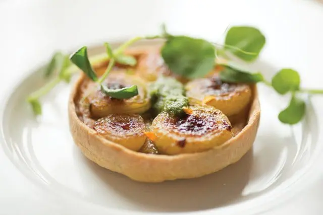 Close-up of a small tart with caramelized fruit slices and green sauce, garnished with fresh herbs, on a white plate.