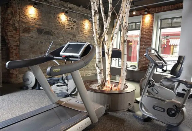 Gym interior with treadmills and stationary bikes, featuring exposed brick walls, a stone accent wall, and a central planter with birch trees.